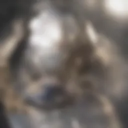 Illustration of fibrocystic breast tissue