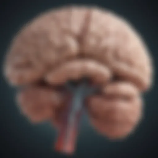 Illustration of the brain regions affected by Frontotemporal Dementia