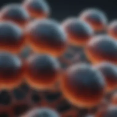 Understanding HEK 293 Cells: Source and Applications Summary Understanding HEK 293 Cells: Source and Applications Summary
