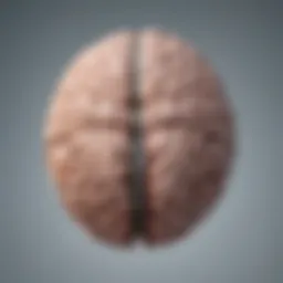 A brain with a heartbeat symbolizing anxiety over health