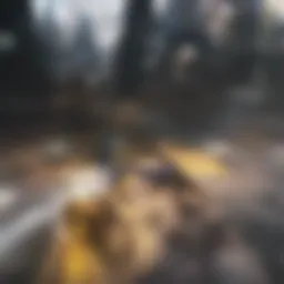 The cognitive process of intuition