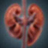 Diagram illustrating kidney function and failure stages