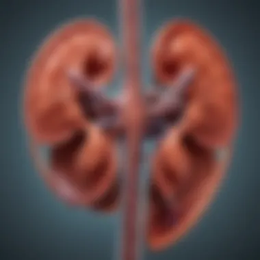 Stages of Kidney Function and the Progression to Failure Diagram illustrating kidney function and failure stages