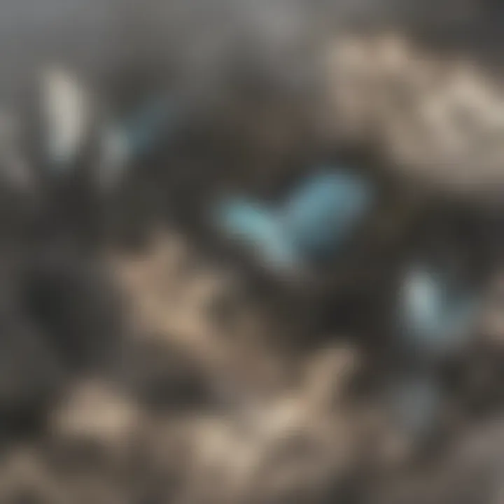 Close-up of a butterfly-shaped rash on the face