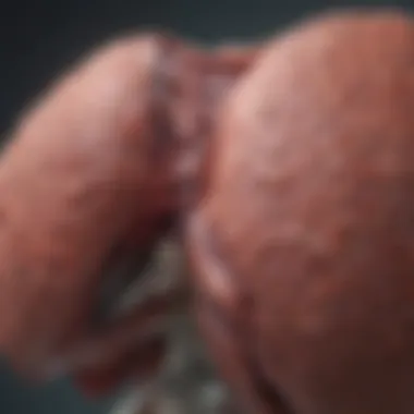 Clinical implications of liver masses