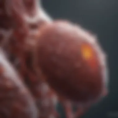 Diagnostic Approaches to Liver Masses Diagnostic techniques for liver masses
