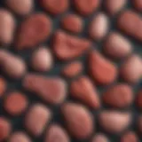Illustration of various types of liver masses