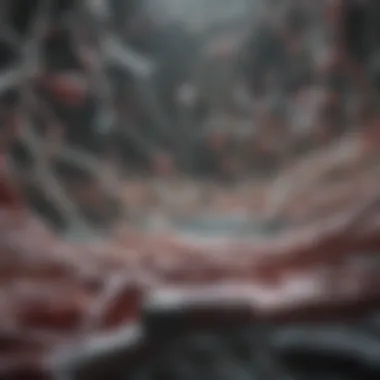 Essential Support Systems for Donors Conceptual image symbolizing donor support systems