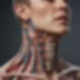 Anatomical illustration highlighting the neck area and associated structures