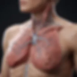 Detailed diagram of lung anatomy illustrating sites of primary pulmonary cancer.