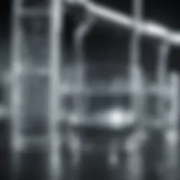 Overview of silver ion mechanisms in water purification