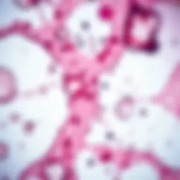 Microscopic view of squamous cell carcinoma cells