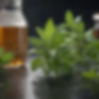 Diverse Techniques for Stevia Extraction Extraction methods of stevia