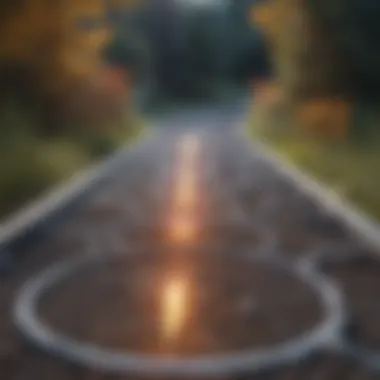 Biochemical Pathway of Adrenaline Release Illustration depicting the biochemical pathway of adrenaline release.