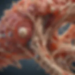 Illustration depicting the structural properties of the arthritis protein