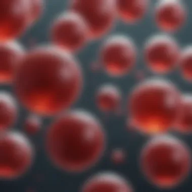 Pathological Conditions Linked to Large Blood Cells Illustration of pathological conditions associated with large blood cells