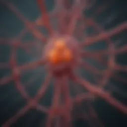 A detailed diagram illustrating the transmission routes of Hepatitis C.