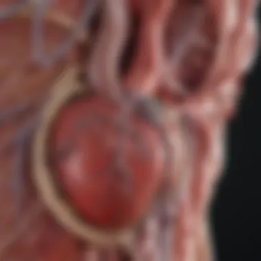 Complications in Heart Failure Visual representation of common complications associated with heart failure