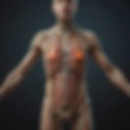 Detailed diagram illustrating lymphatic system pathways