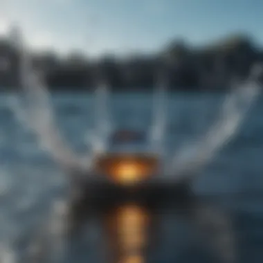 A conceptual representation of water trading in global markets