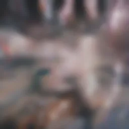 A conceptual representation of vision impairment related to medication