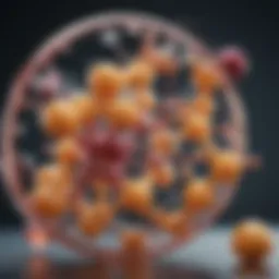 Chemical structure of Vitamin B complex