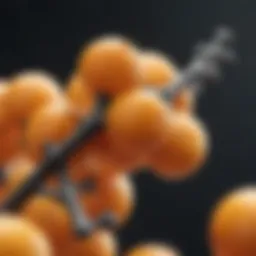 Chemical structure of Vitamin C