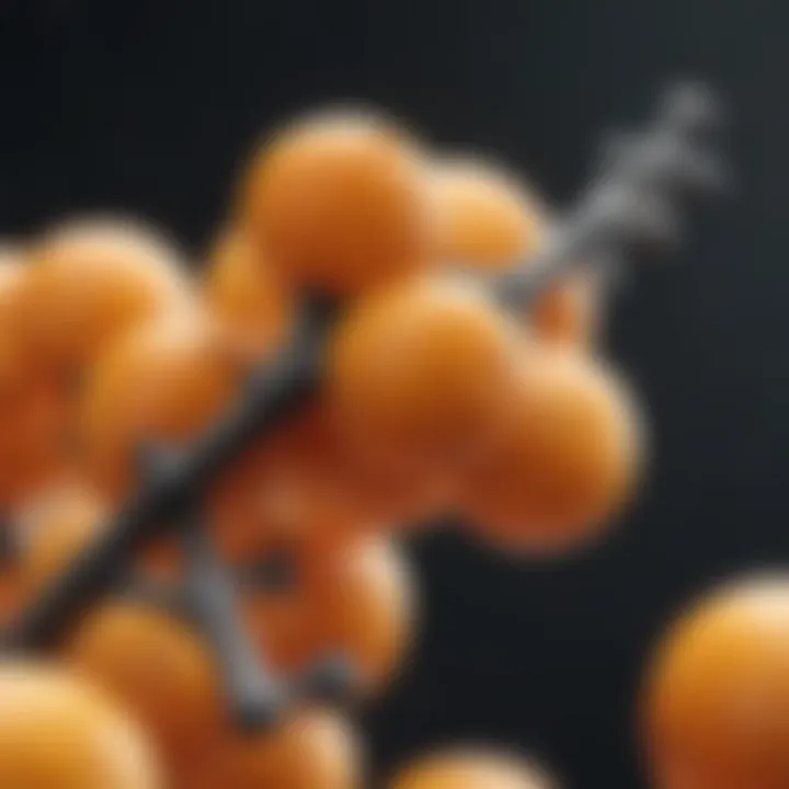 Chemical structure of Vitamin C