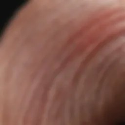 Vivid depiction of hair follicle structure
