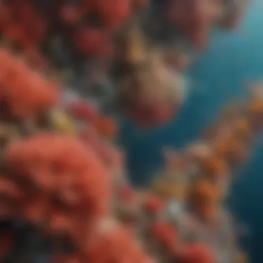 Global Distribution of Coral Reefs Map showing the global distribution of coral reefs